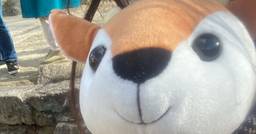 記事のアイキャッチ画像