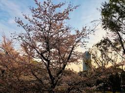 記事のアイキャッチ画像