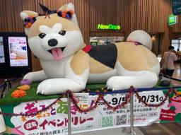 記事のアイキャッチ画像