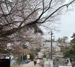 記事のアイキャッチ画像