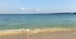 記事のアイキャッチ画像