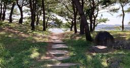 ブログのアイキャッチ画像